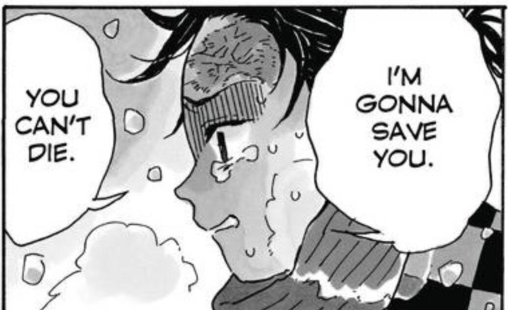 Demon Slayer: Kimetsu No Yaiba