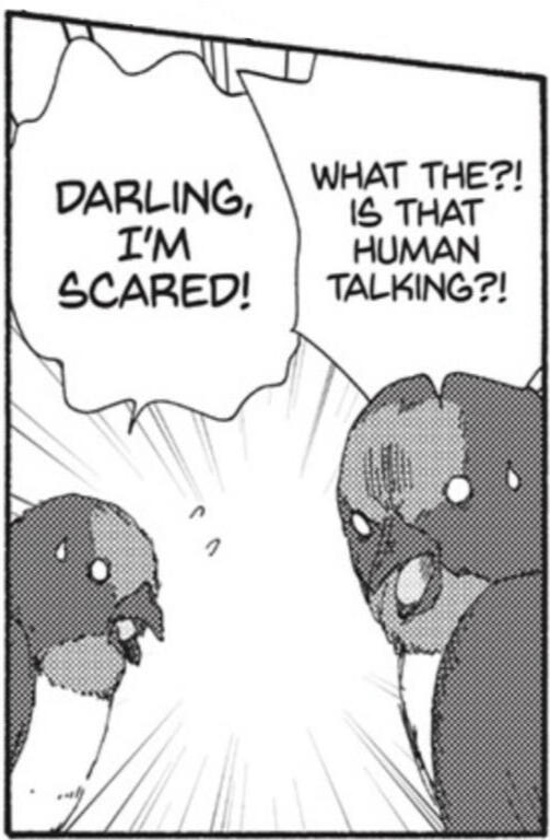 Toritan: Birds of a Feather